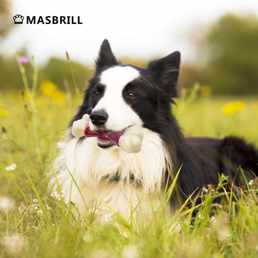 Juguetes Grandes Para Perros Masticadores Agresivos, Juguetes Para Perros Grandes, Juguetes Masticadores De Hueso Para Perros Medianos/Grandes, Juguetes De Cepillo De Dientes Para Perros Masticadores Agresivos De Raza Grande